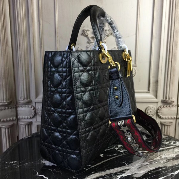 cohotbag lady D10r 1560