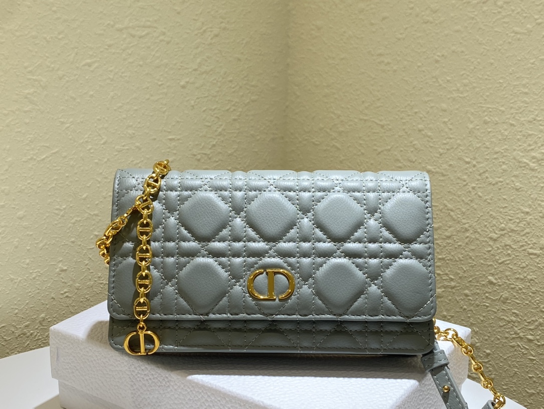 d10r caro belt pouch with chain S*pple cannage calfskin gray s5091 20 x 11.5 x 3.5 cm
