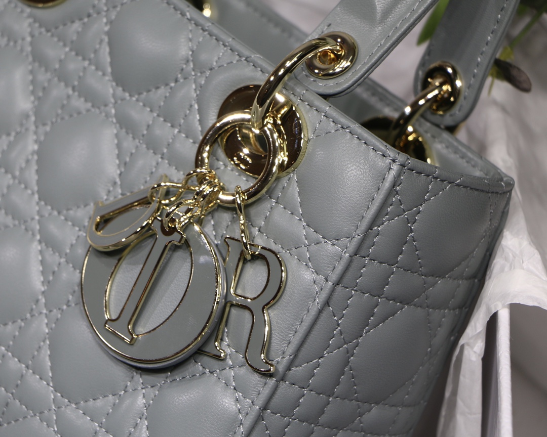 D10r lady D10r my abcD10r bag gray m0538 20cm