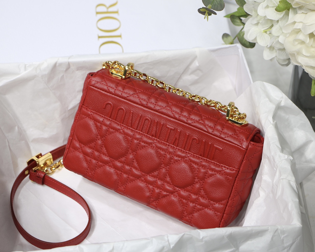 d10r small caro bag S*pple cannage calfskin red m9241 20 x 12 x 7 cm