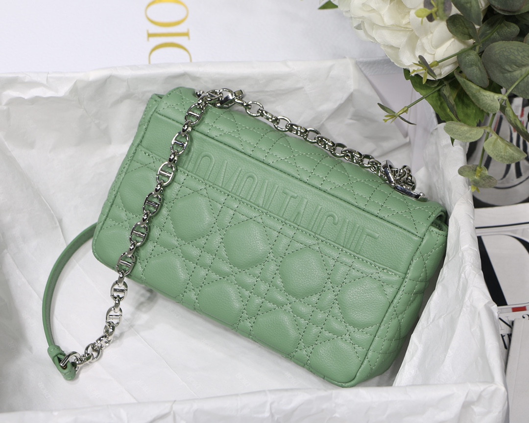 d10r small caro bag S*pple cannage calfskin green m9241 20 x 12 x 7 cm