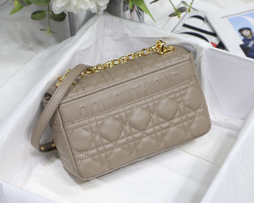 d10r small caro bag S*pple cannage calfskin taupe m9241 20 x 12 x 7 cm