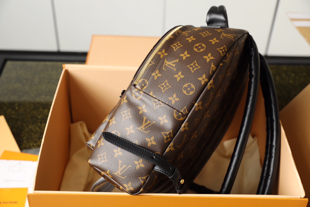 l0vis Vvtt0n palm springs mm backpack m44874 30cm